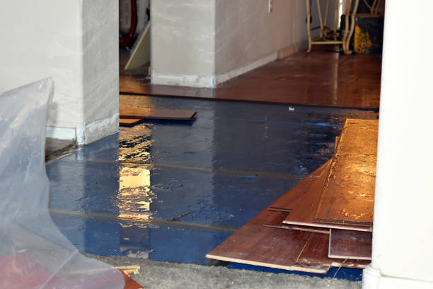 Professional Basement Water Removal technician working in Davis, OK