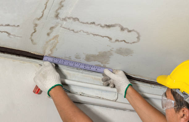 Reliable Basement Water Removal contractor in Davis, OK by Water Damage Irwin